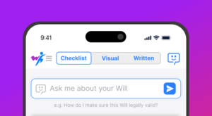Make Your Will WIth AI Assistance